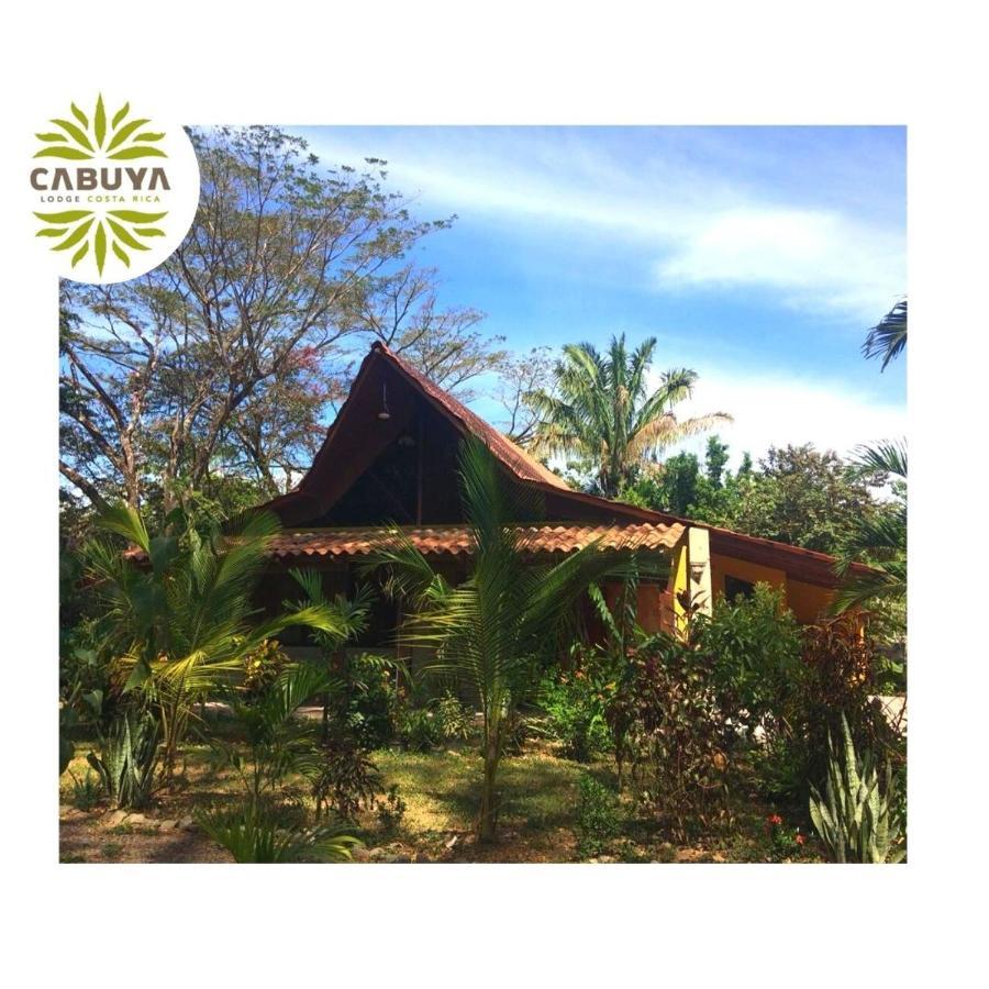 Cabuya Lodge Exterior photo